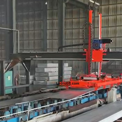 Automatic Floor Palletizing Machine automated palletizer Custom Conveying