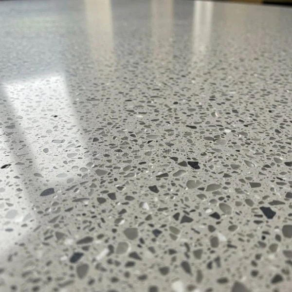 Terrazzo Polishing Application
